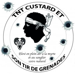 TNT grenade