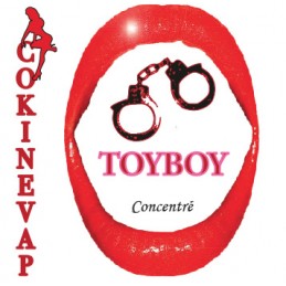 ToyBoy