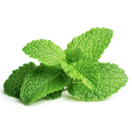 MenthA