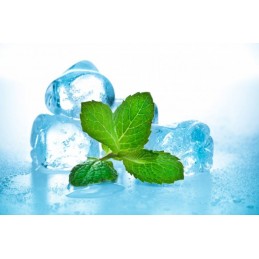 Menthe Glaciale