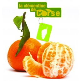 Clémentine Corse