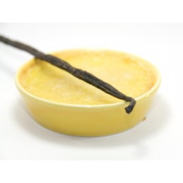 Custard Vanille