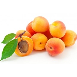 Abricot Fruit
