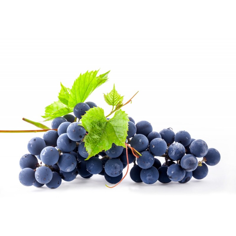 Raisin Noir Raisin Noir